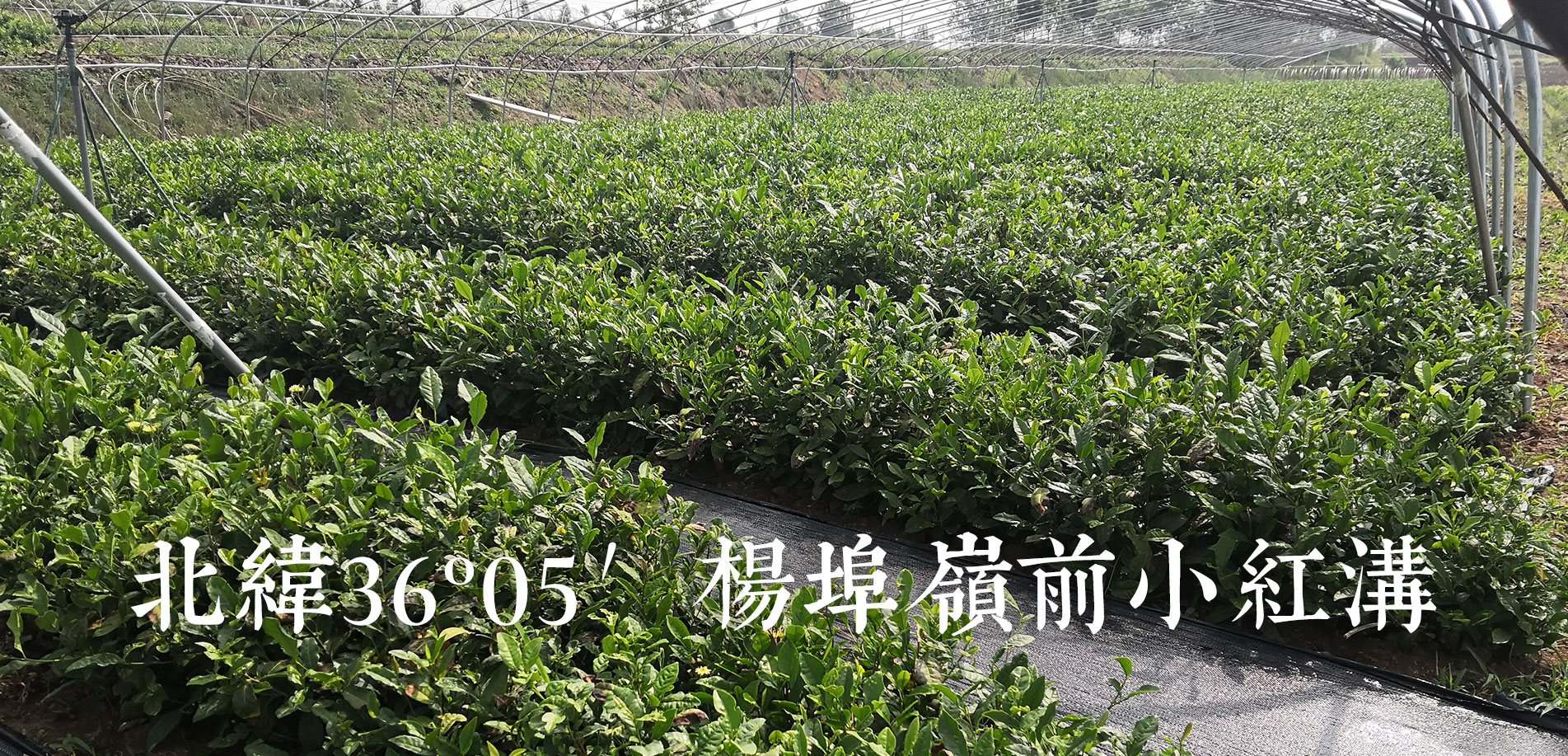 濰坊金盟機(jī)械制造有限公司